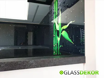 Glass Dekor